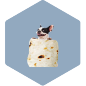 Incentive - Burrito Blanket