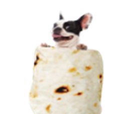 burritoblanket.png